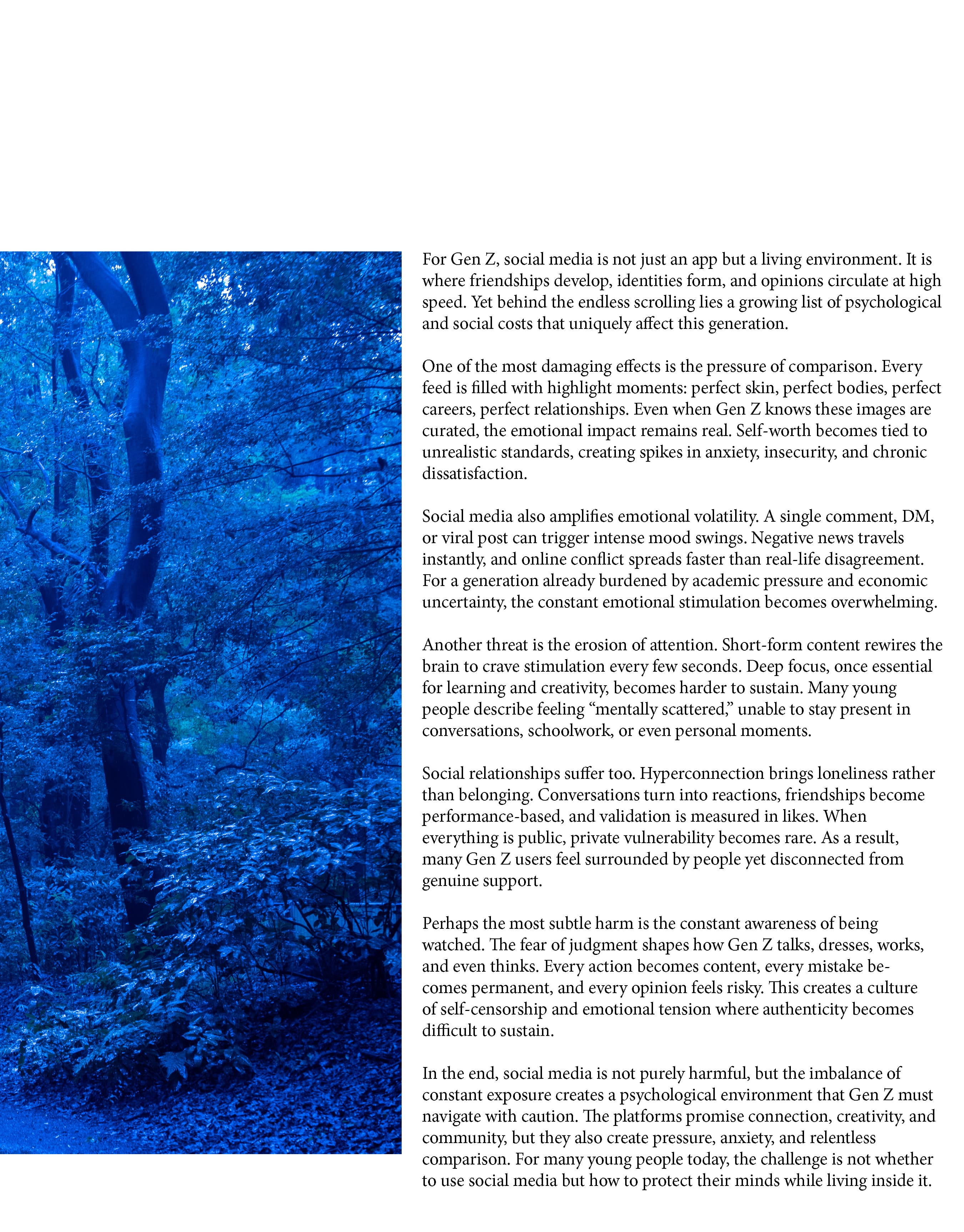Visual work C15